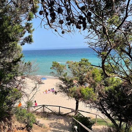 풀라 Sun Sea Of Sardinia 빌라 외부 사진